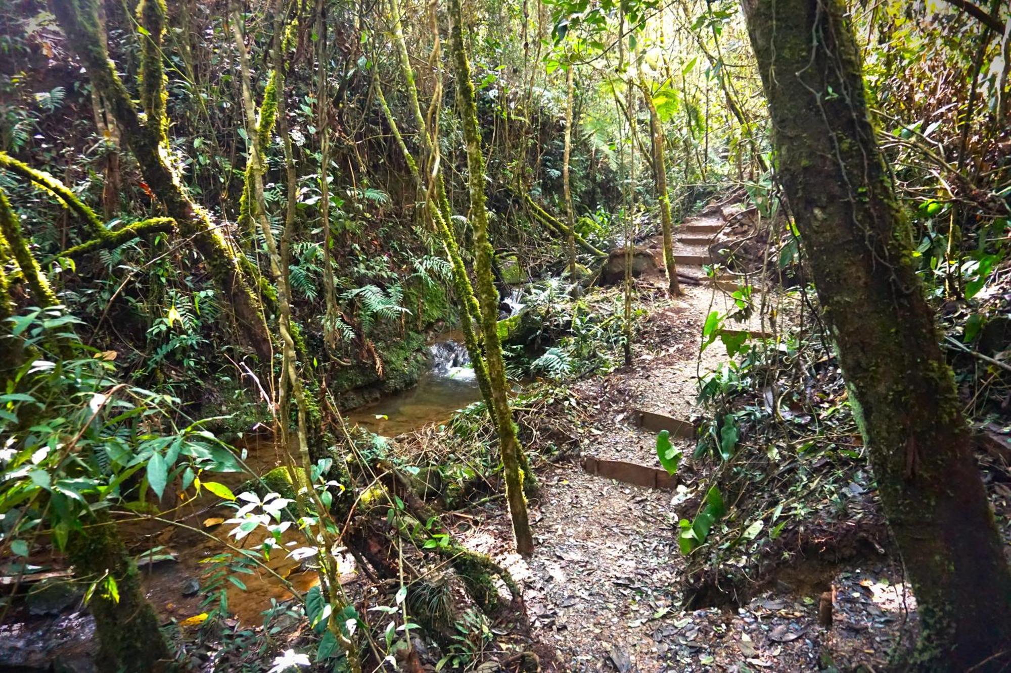 Encanto Minicasitas En Medio De La Naturaleza Santa Elena  Luaran gambar