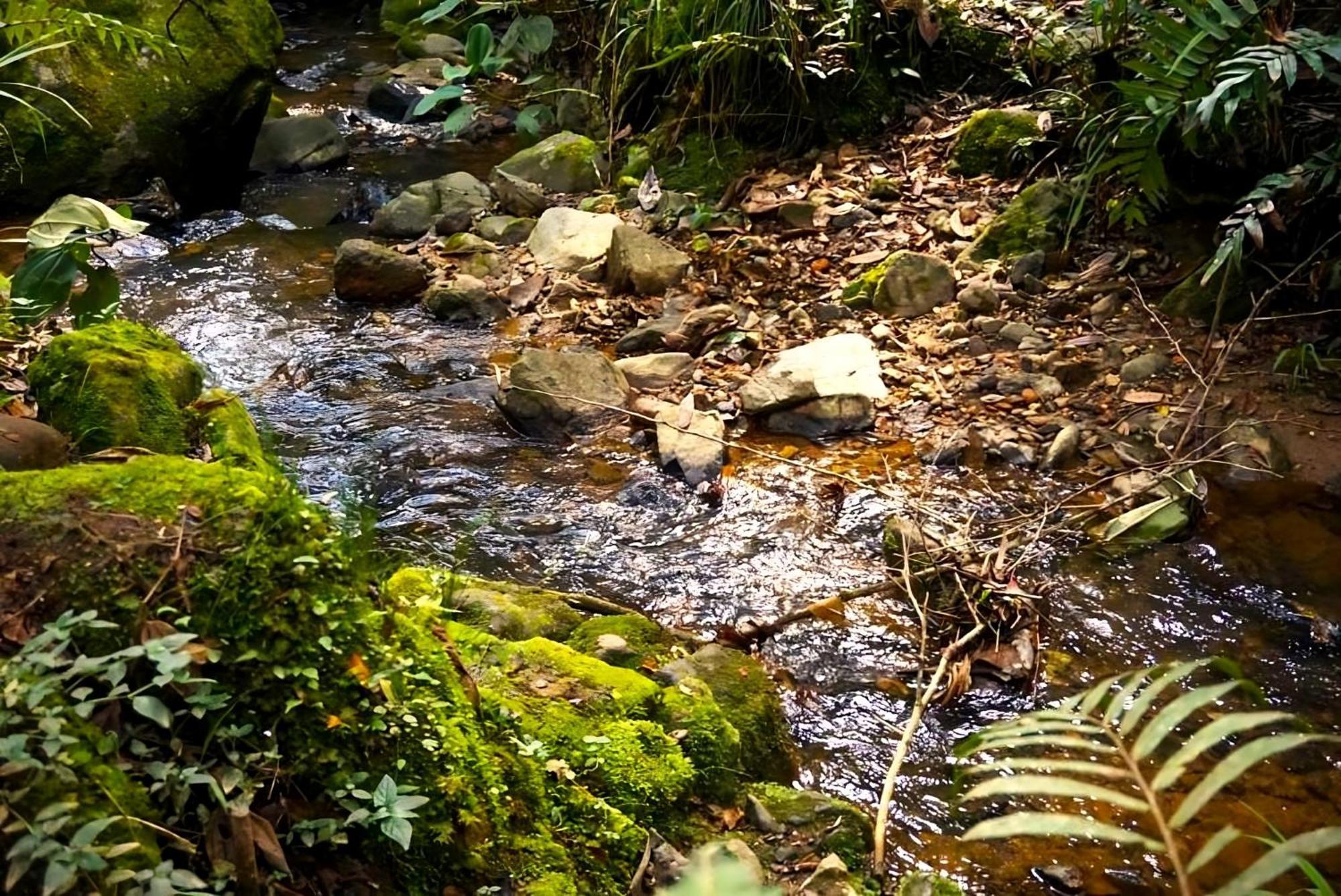 Encanto Minicasitas En Medio De La Naturaleza Santa Elena  Luaran gambar