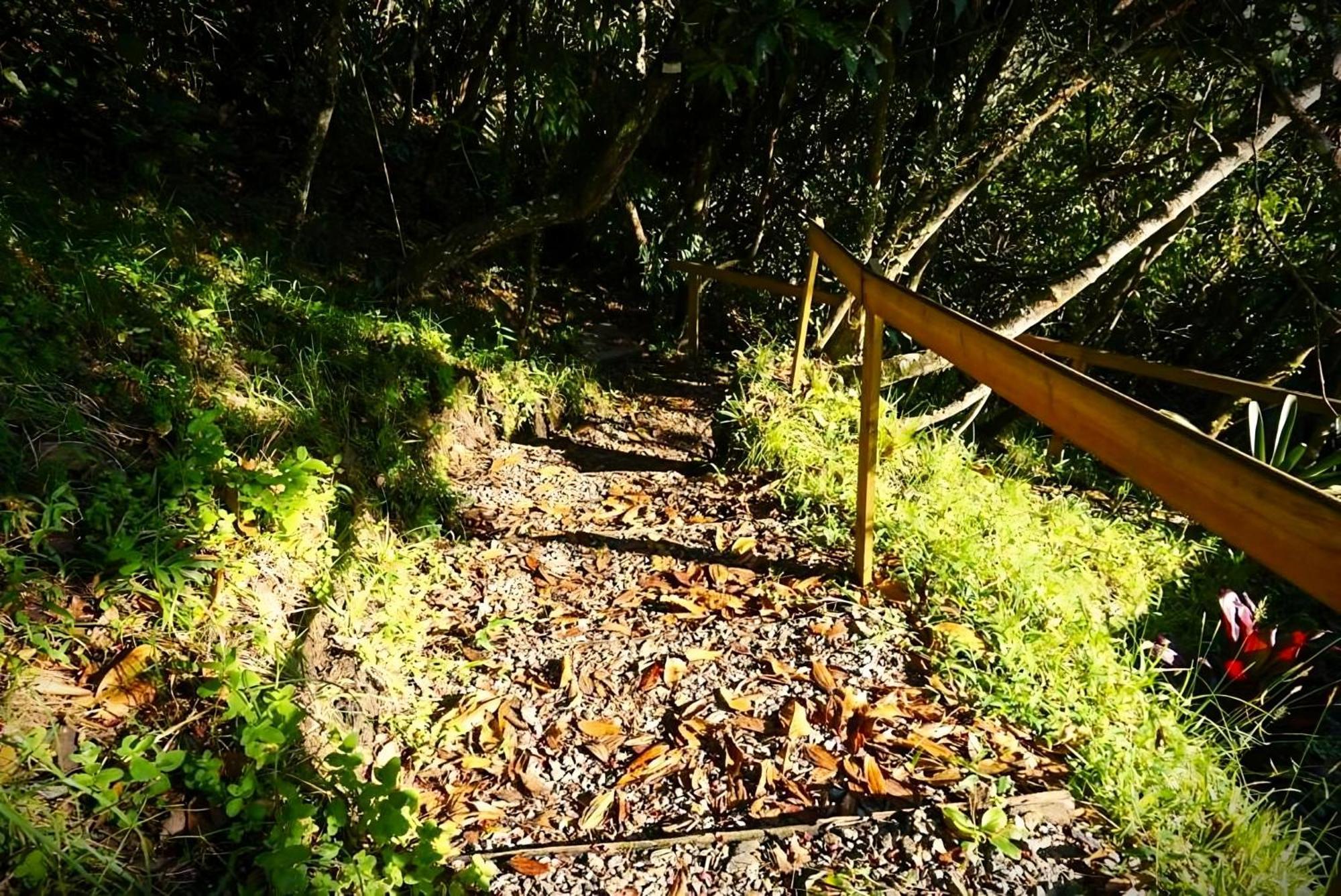 Encanto Minicasitas En Medio De La Naturaleza Santa Elena  Luaran gambar