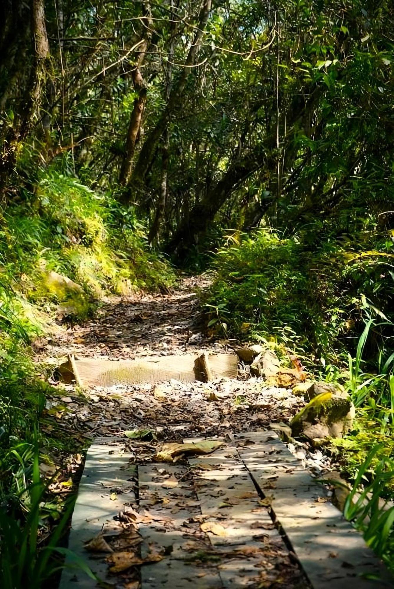 Encanto Minicasitas En Medio De La Naturaleza Santa Elena  Luaran gambar