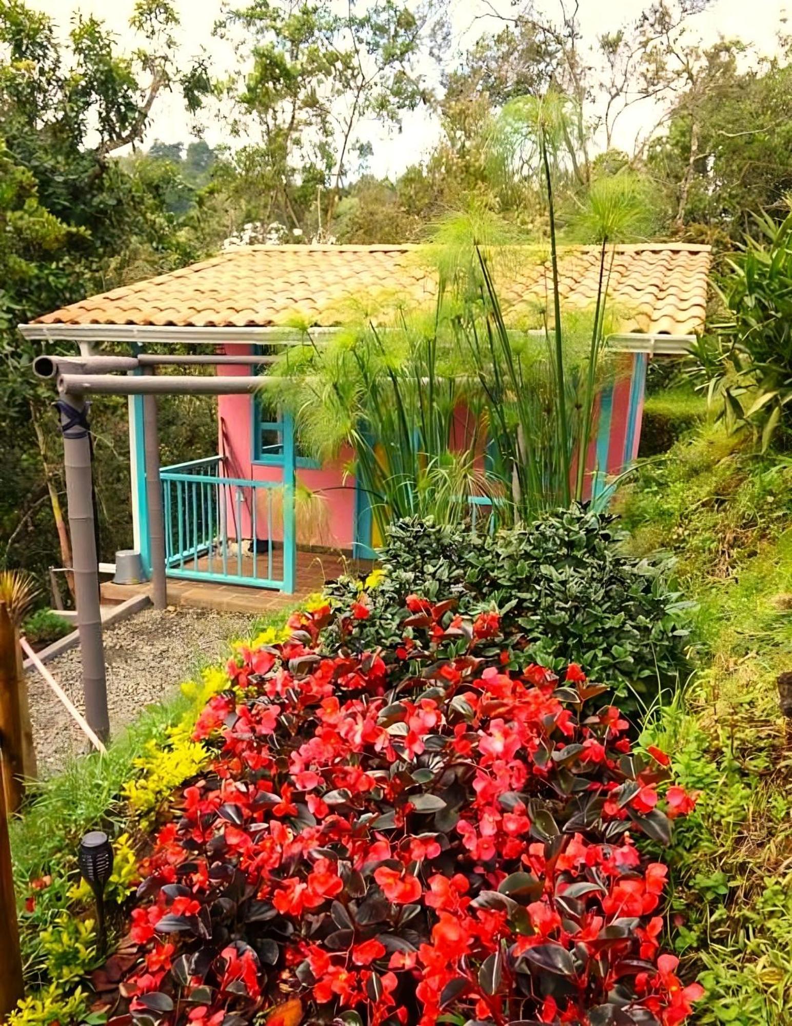 Encanto Minicasitas En Medio De La Naturaleza Santa Elena  Luaran gambar
