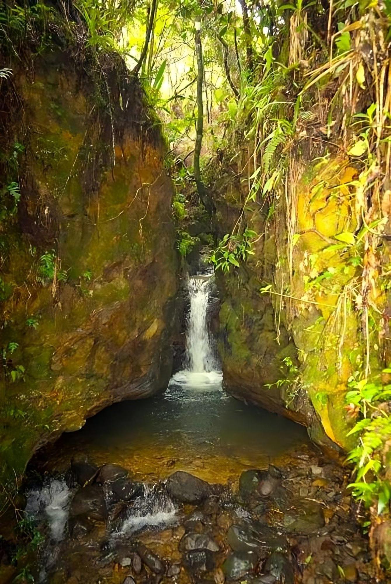 Encanto Minicasitas En Medio De La Naturaleza Santa Elena  Luaran gambar